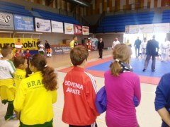 Na karate tekmi
