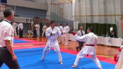 Seba v borbi