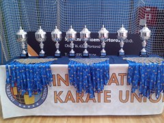 Karate pokali